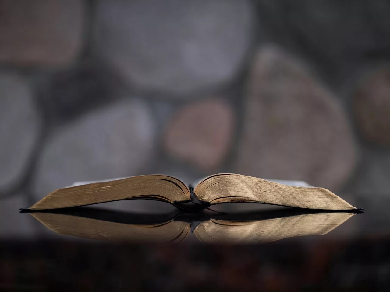 Biblical Wisdom on Education: Insights in Less Than 12 Words hero image