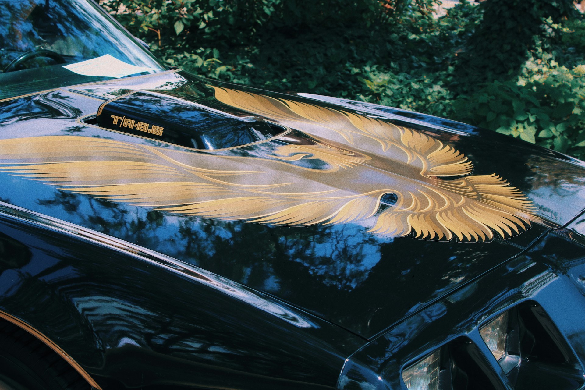 Car Vinyl Wrap in Miami: Costs, Benefits & Best Shops (2026 Guide) hero image