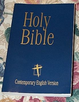 Contemporary English Version (CEV)