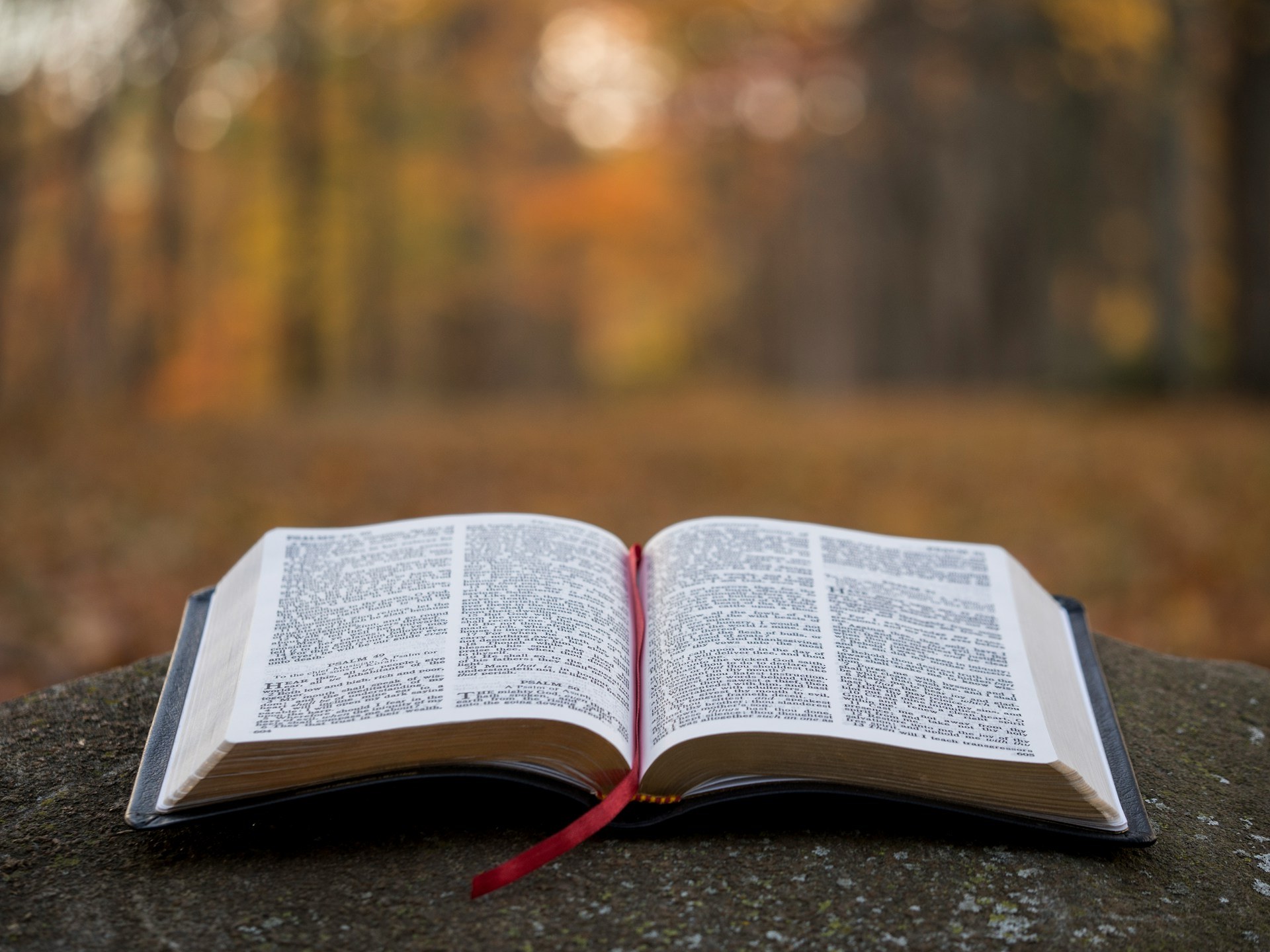 Don’t Just Buy Any Bible — Discover the One That Fits Your Life hero image