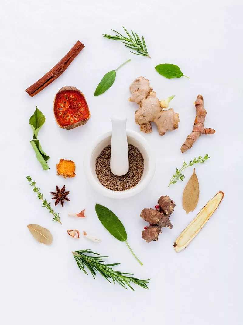 Herbs, Natural, Pharmaceutical image