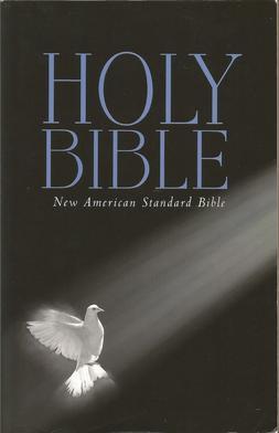 New American Standard Bible (NASB)