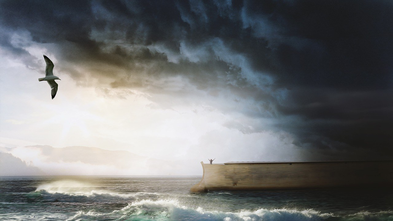Noah's ark, Sea, Seagull image