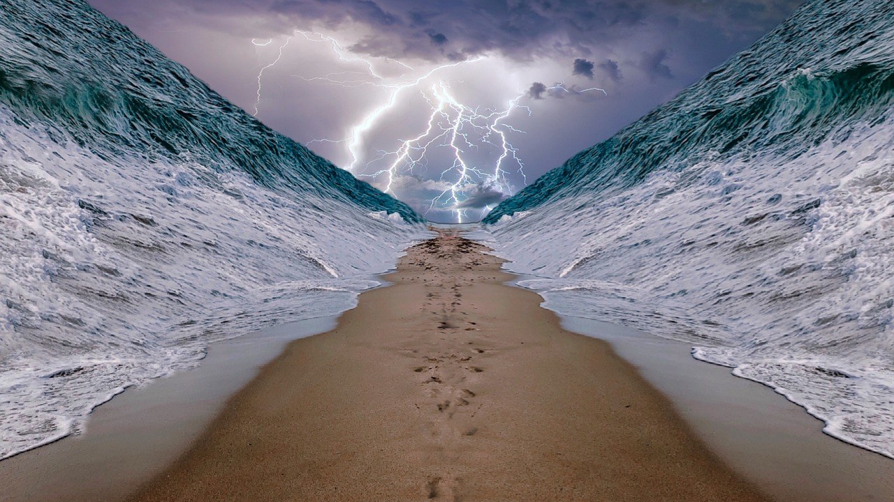 Sea, Ocean, Art image