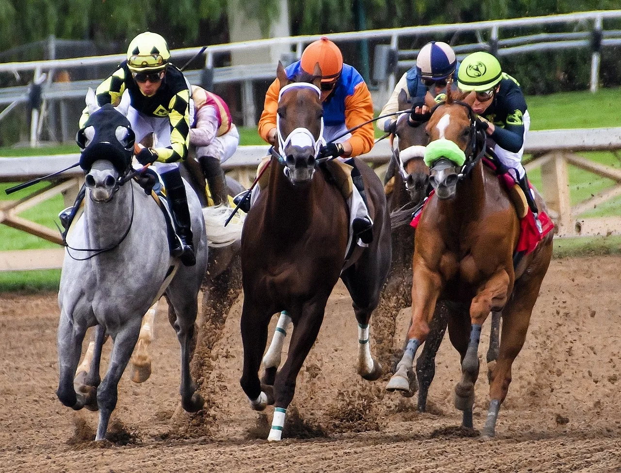 The Buildup to the Final Race