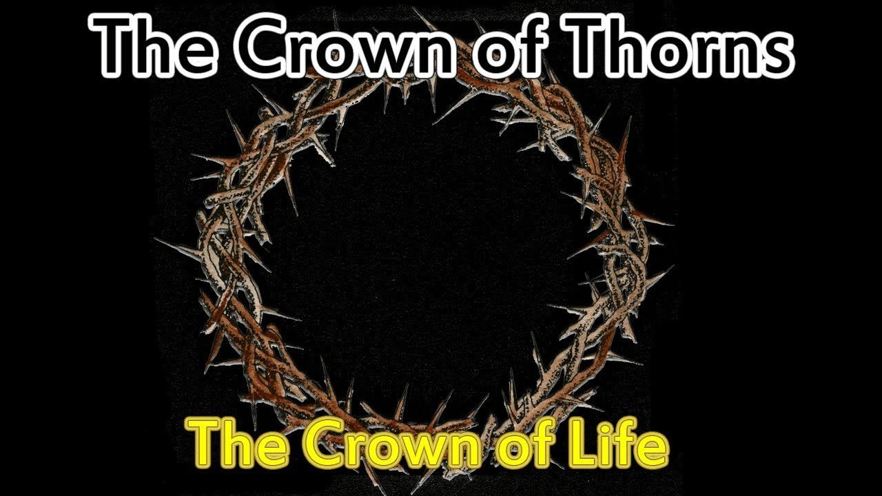 The Crown of Thorns - Interesting Facts hero image