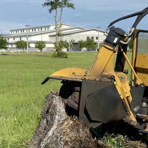 Timberteks.net Tree Services: Your One-Stop Shop for Stump Grinding in Vancouver, WA image