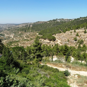 The Jerusalem Hills: A Historical and Cultural Journey image
