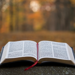 Don’t Just Buy Any Bible — Discover the One That Fits Your Life image