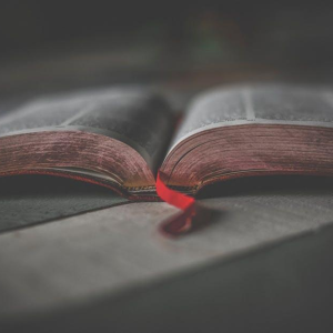 How to Host a Successful Biblical Bible Study Group in Your Community image