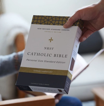 New Revised Standard Version Catholic Edition (NRSVCE)