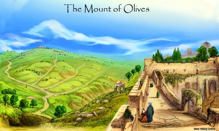Mount of Olives - Bible History